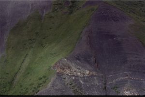 A sandstone dyke that originated from deformed - slumped sandy turbidites; the dyke intrudes a slope mudstone-siltstone succession, and extends about 40m up the exposed face.  Both the slumping and sandstone intrusion are thought to have formed during a seismic event. Upper Jurassic, Tsatia Mt, Bowser Basin.