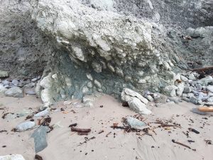 Sheared bentonitic melange within accretionary prism thrust sheets, Waimarama, eastern North Island.