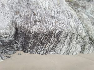 A lozenge of resistant cherty mudstone within the softer bentonitic melange, detached during thrusting, Waimarama, eastern North Island. The cherts also have been deformed by cleavage almost normal to bedding.