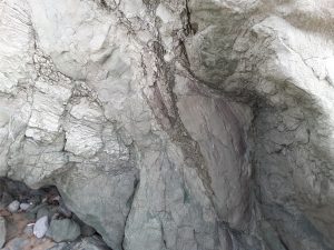 Intensely sheared and stretched sandstone in thin thrust sheets, accretionary prism Waimarama, eastern North Island.