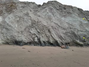 Closer view of thrusts (arrows) and intensely sheared mudstone-sandstone melange, Waimarama, eastern North Island.