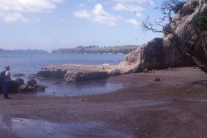 This view shows thrusted Northland Allochthon marls, north of Algies Bay.