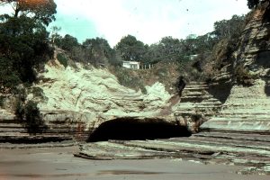 Intensely folded turbidites on a horizontal, undeformed glide plane, Waitemata Basin, Orewa Beach, Auckland.