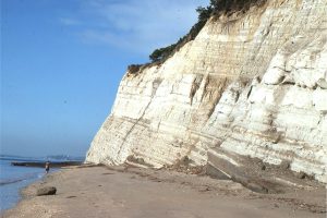 Typical exposure of Waitemata Basin strata around Auckland coastal cliffs - mid- and distal-fan turbidites at Takapuna Beach.