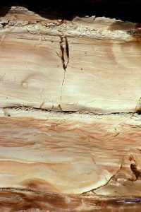 Two turbidite flow units (above pen), the lower with well developed Bouma Tb, and the upper unit Tb-d with oversteepened and convoluted ripple drift (Tc interval). There is a thin layer of rip-up mud clasts at top - an event bed following the cessation of turbulent flow. Lower Miocene Waitemata Basin, Cockle Bay, Auckland.