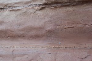 Thick Bouma Ta-b composites; most of the intervening, skinny Td mudstone (center) has been eroded.  Waitemata Basin, Cockle Bay