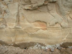 Thick, coarse-grained laminated Tb interval, Musick Point, Auckland.