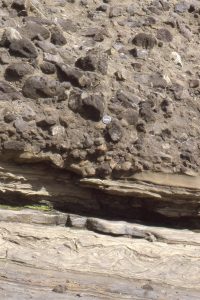 Mixed matrix-supported and some clast-supported textures in thick, composite, Waitemata Basin debris flows. Note the scoured base. Waiwera (same as the left image above)