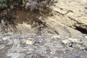 Examples of soft and weak-rock deformation - slumping in Waitemata Basin turbidites, possibly dynamically linked to Northland Allochthon deformation, manifested as recumbent isoclinal folds, and rotated boudins in sandstone (top right) - brittle failure of sandstone and ductile flow of the intervening mudstones, Army Bay.