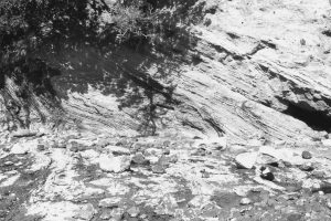 Isoclinal folding in thin-bedded mudstone-sandstone (left center), and a sandy turbidite bed deformed by rotated boudins (upper right). All these structures formed while the sediment was at a transition from relatively soft to weakly indurated. Waitemata Basin, Army Bay, north Auckland.