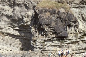 A massive raft of columnar-jointed basalt, a remnant of either a lava flow of dyke from an oceanic island somewhere west of the basin. The weight of the block and compaction have pushed it into the underlying turbidite beds. Waitemata Basin, Army Bay, Auckland.