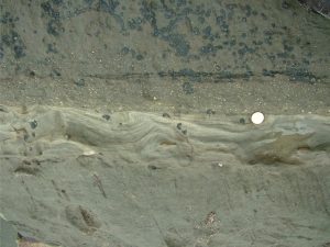 Convoluted siltstone-fine sandstone, truncated by the next flow unit, in which there is a thin, gritty Ta interval. Waitemata Basin, Cockle Bay, south Auckland.