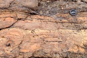 Disruption of stromatolite columns and small domes by erosion. Rip-ups include largish mudstone slabs. McLeary Fm.