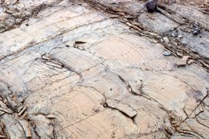 Large, closely-spaced, low relief stromatolite domes; synoptic relief was 5-8cm.  Look closely at the laminae and in some you will see continuity from one dome to another, and in others discontinuities and overlaps 2-4 laminae thick. Mavor Fm.