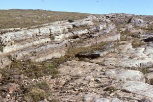 Bedding and cross-section views of subtidal platform, domal stromatolites. Synoptic relief here is a bit less than in the image above. McLeary Fm. Stromatolites in the uppermost bed are eroded, overturned, or oversteepened, probably by storm waves.