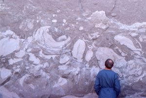 Detached folds in ice-contact glacial outwash. Elevated pore pressures and deformation were probably caused by ice loading. Late Pleistocene, Ottawa.