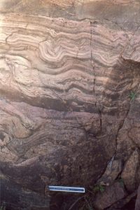 Another example of synsedimentary deformation, possible during limestone solution collapse like the image above.