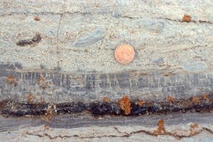 Microdigitate microbial mats, here associated with grainstone. Mats above the black cherty layer show at least three stages of growth, each following an episode of erosion. Mats below the chert are more simple wavy forms. The grainstone above contains numerous mud and mat rip-ups and oncolites.