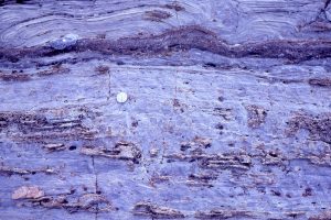 Wavy mats and microdigitate columns, disrupted by supratidal desiccation, storm-loading pull-aparts, and fragmentation. The interval is capped by larger domal masses that in turn have been locally overturned and regrown. McLeary Fm.