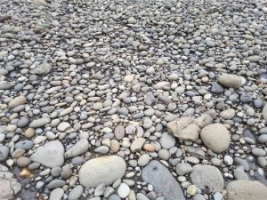 Pavement of clos-fitting, well rounded cobbles and pebbles, near Little Bay, Coromandel, NZ 