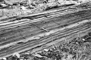 Channel overbank facies containing thin graded sandstone, thin sandstone beds with ripples and starved ripples, and Bouma Td-e mudstones. Omarolluk Fm. Proterozoic, Belcher Islands