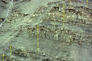 Mid-shelf parasequences with well defined MFS, transgressive surfaces, and TSTs - see following image. Tsatia Mountain, Bowser Basin.