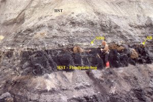 Sequence 3: A great example of a higher-order subaerial sequence boundary (SB) (top of coal seam), thin TST muddy sandstone, MFS, and HST. The orange blobs are mineralized tree roots. It's also a much younger me. Strathcona Fiord, Ellesmere Island.