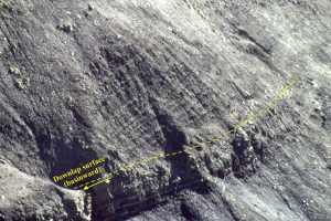 Sequence 3. Downlap surface with basinward progradation of mudstone fine-grained sandstone.