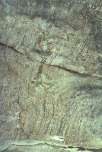 Upper Miocene Coroglen volcanics north of Whiritoa,  east coast of Coromandel, New Zealand. Flow banded rhyolite. Outcrop is about 5m high. 