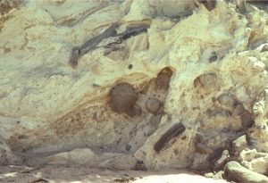 Upper Miocene Coroglen volcanics north of Whiritoa,  east coast of Coromandel, New Zealand.  A lahar with fragments of rhyolite, ignimbrite and possible andesite, over-ridden by a flow-banded rhyolite.