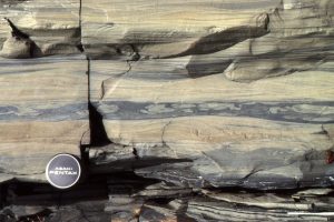 Laminated and rippled volcaniclastic sandstone-siltstone. The middle bed has several load casts. Laminated beds in the upper half have the form of antidune bedforms (supercritical flow).