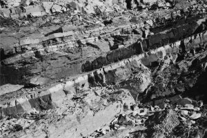 Inter-flow volcaniclastic turbidites, layers of air-borne ash into water, and hemipelagic mudrock and ash. Hammer right-center.