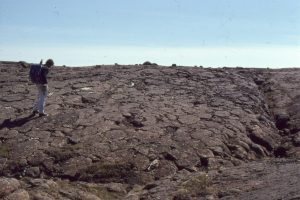 Spheroidal, lobate, and lozenge-like pillow lavas. The main pile is overlain and partly amalgamated with a second pile (top to the right), separated by a layer of glassy fragments formed by thermal shock. West Flaherty Island. 