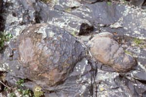 Crudely polygonal crusts formed by rapid cooling of pillows in the Precambrian ocean.