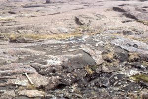 Upper contact of a massive sediment gravity flow. Framework clasts up to a metre are mostly volcanic, but there are a few ripped up sandstone and dolomitic sandstone clasts, presumably from units underlying the Flaherty Formation. Maximum thickness is 85m; the unit covers and area greater than 3000 sq km. There are no obvious depositional or erosional breaks within the unit; there are parallel laminae, and rare crossbeds. The framework is mainly pumice fragments, shards with bubble-wall texture, and lapilli (see photomicrographs below). Pumice generally increases towards the top - density grading, but no obvious size grading. It is not welded.  It is sandwiched between pillowed and jointed lava flows.  It was most likely deposited subaqueously, although it is also possible that the flow originated on a subaerial edifice. Parallel laminae may indicate a degree of surging.  The irregular surface patterns are due to late diagenetic silica replacement of the original volcanic glass.