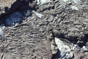 Highly fluid lava flows formed ropy festoons. Here, flow direction was approximately from upper left to lower right.