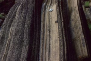 Well bedded air-fall tephra layering near the outer rim of Maungataketake maar volcano, The middle layers (lens cap) also contain accretionary lapilli.