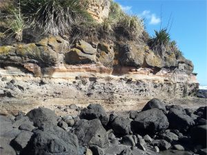 Karioi volcano is a Late Pliocene stratovolcano that dipped its toes in Tasman Sea. Here, an andesite flow (below the flax), over airfall lapilli tuffs, and lahars or base-surge deposits at the base. 