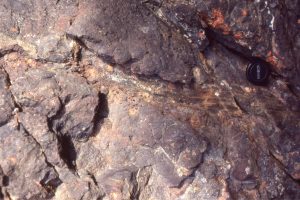 A coalified tree fragment caught up in a lahar. Strand Fiord volcanics, Axel Heiberg Island.