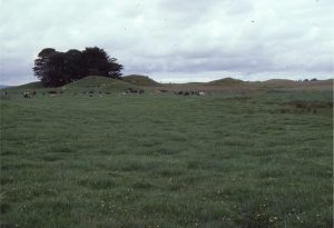 Lahar mounds outboard of the main Taranaki edifice.