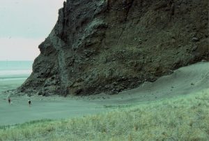 Multiple debris flows, some with boulders 100 cm+ in diameter. The outer part of the cliff is cut by an andesite dyke that was probably a feeder to the adjacent volcanic edifice. Karikari, west Auckland.