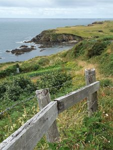 Typical exposure of Dalradian rocks along the Atlantic coast of Connemara.