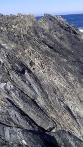 Foliated and folded, thin bedded psammites.  This exposure is very close to the two images immediately above; here the fold axes have been rotated.