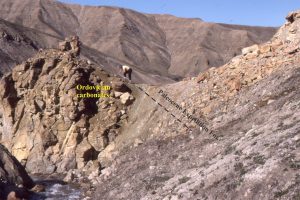 A well-developed regolith at the Paleocene-Ordovician unconformity, Mt Moore, Ellesmere Island.