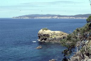 Panorama of lower Waitemata Basin strata, looking south from Takatu Point. The unconformity on the small island (yellow dashed line) is overlain by boulder conglomerate and well bedded calcareous sandstone.