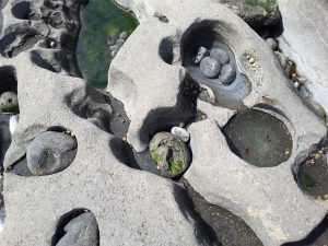 Three images of potholes in Burren Limestone, Flaggy Shore, County Clare. Pebbles and cobbles become trapped in bedrock depressions that are gradually enlarged and deepened by the abrasive action of the clast moved and jostled by waves.