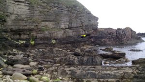 4. Onlapping sandstone thins against the unconformity. About half way up the bluff there is a stratigraphic discordance within the ORS, where overlying beds dip at shallow angle to the right: two possible explanations: a) the beds fill a compaction depression in the underlying sandstones; or b) the shallow-dipping beds may represent large foreset beds in a channel point bar.