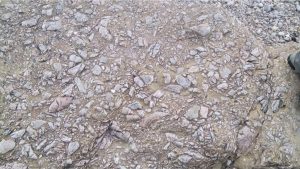 A coarse breccia at the base of the ORS composed almost entirely of fragmented Moine schist. Toe of shoe for scale.