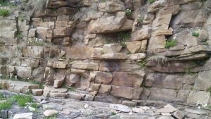 Shallow trough crossbeds in the lowermost ORS; the example here shows left-dipping beds, right half of photo, that probably represent an approximately longitudinal crossbed profile - down current to the left.