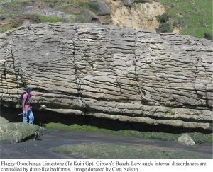 Flaggy Otorohanga limestone  - closer view of dune-like bedforms